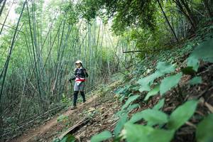 BIB: 
                            <button type="button" onclick="openModal(28159590)" class="btn btn-primary btn-sm float-right btn-popup" data-toggle="modal" data-target=".modal-high-quality">
                        <i class="fas fa-shopping-cart"></i> Add to Cart
                    </button>
                                            <button type="button" onclick="isThisMe(28159590, true)" class="btn btn-success btn-sm float-right btn-popup btn-isme hidden" data-toggle="tooltip" data-placement="bottom" title="นี่คือรูปของคุณใช่ไหม คลิกที่นี่เพื่อเอาเข้าอัลบั้ม">
                        <i class="fas fa-plus"></i> Add to album
                    </button>
                    <button type="button" onclick="isThisMe(28159590, false)" class="btn btn-warning btn-sm float-right btn-popup btn-isnotme hidden">
                        <i class="fas fa-ban"></i> Remove from album
                    </button>